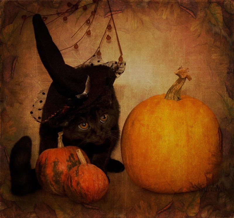 Тыквенно-осеннее...photo preview