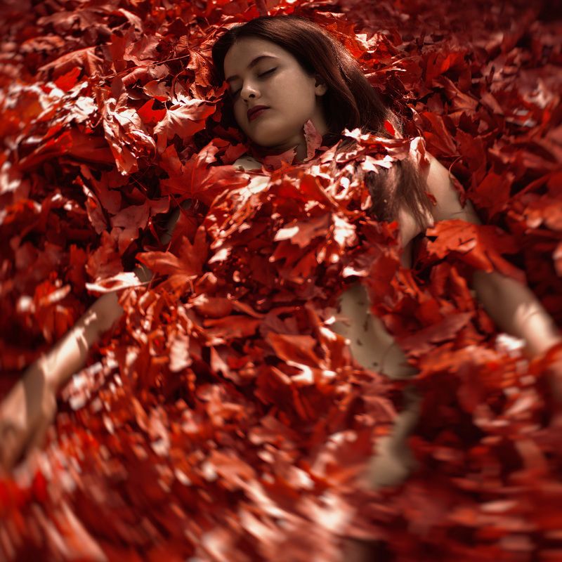 This Lovephoto preview