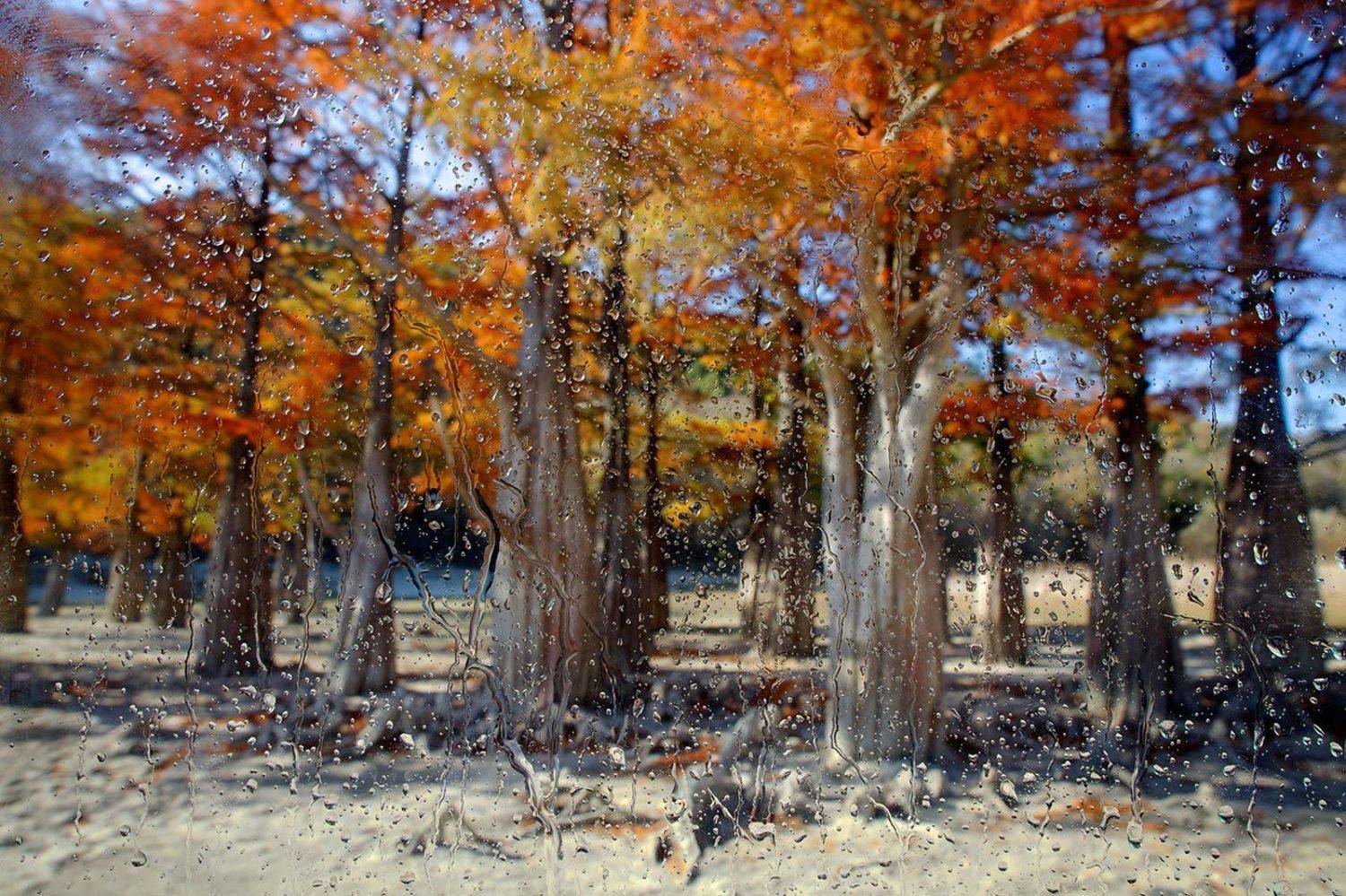 , Никифоров Егор