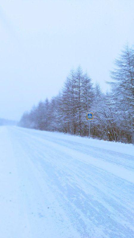 Переход в тайгуphoto preview