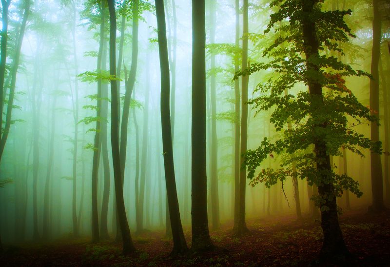 Between layersphoto preview