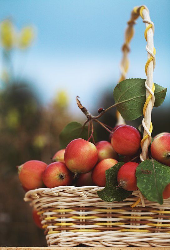 Happy applesphoto preview