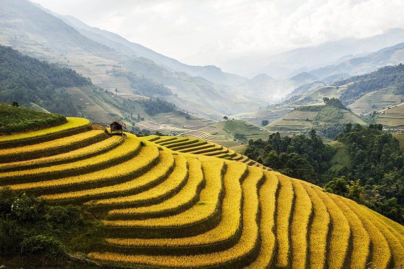 Mu Cang Chai in Vietnamphoto preview