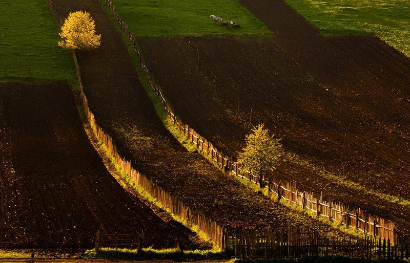 Going home (2)photo preview