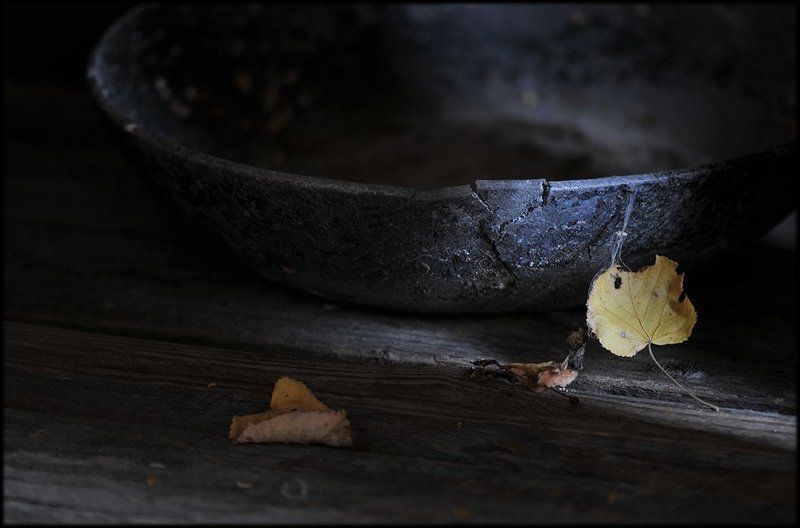 натюрморт Тонкие связиphoto preview