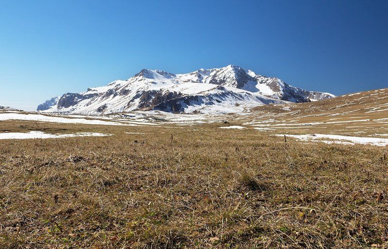 Оштенphoto preview