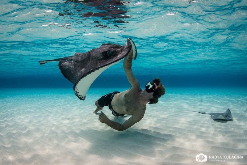 Playing with Raysphoto preview