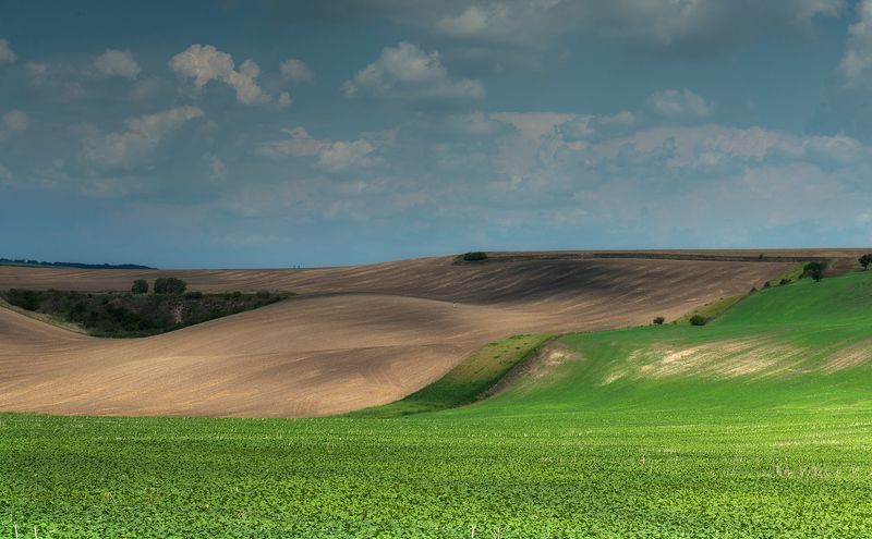 Moravijaphoto preview