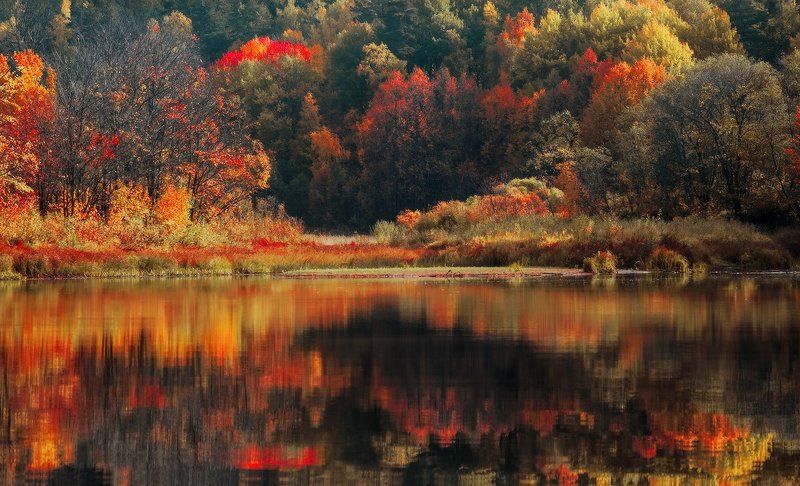 Кострома, Осень, Р. Тоехта, Сентябрь Зеркало осениphoto preview