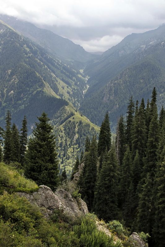 талгарское ущелье Маралсай-Актасphoto preview