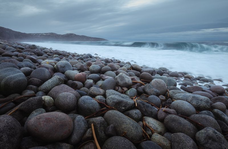 Кольский полуостров, Териберка Побережье Баренцева моря. Териберка.photo preview