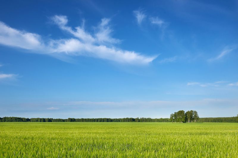 Подростковый периодphoto preview