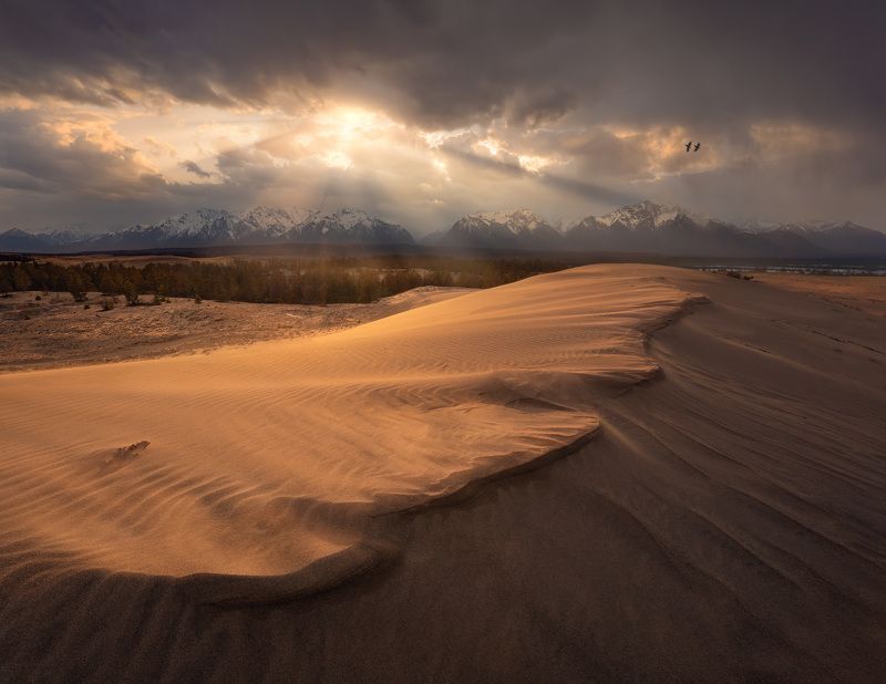 забайкалье, чара, пустыня, чарская пустыня, бархан, дюна, закат Чарские пескиphoto preview