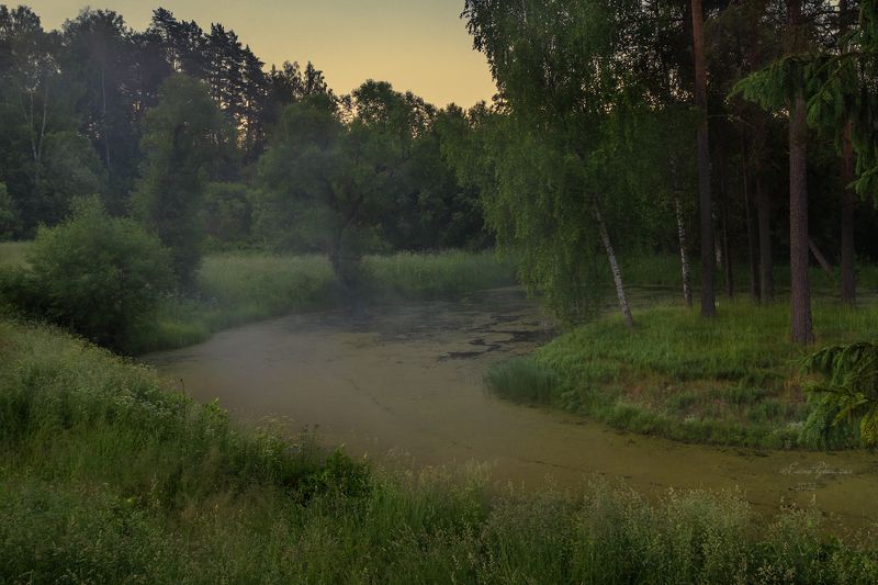 утро, пейзаж, щелыково, костромская область Скоро рассвет.Щелыковоphoto preview