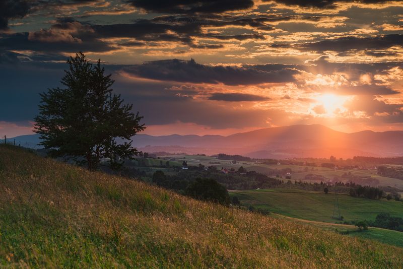 rytro, beskidsadecki, mountains, sunlight, sun, sunset, clouds, tree, plants, grass, horizontal, poland, polska, beskidsądecki, landscape, nikon, tamron, nature,  A Pleasant Surprisephoto preview