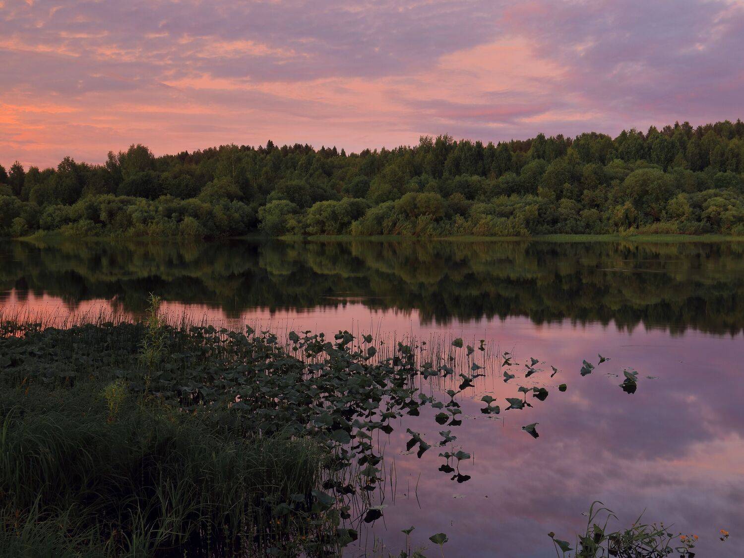 Цвета белой ночи.... Автор: Титов Александр вечер, природа, север, река, белые ночи, лето, небо, Титов Александр