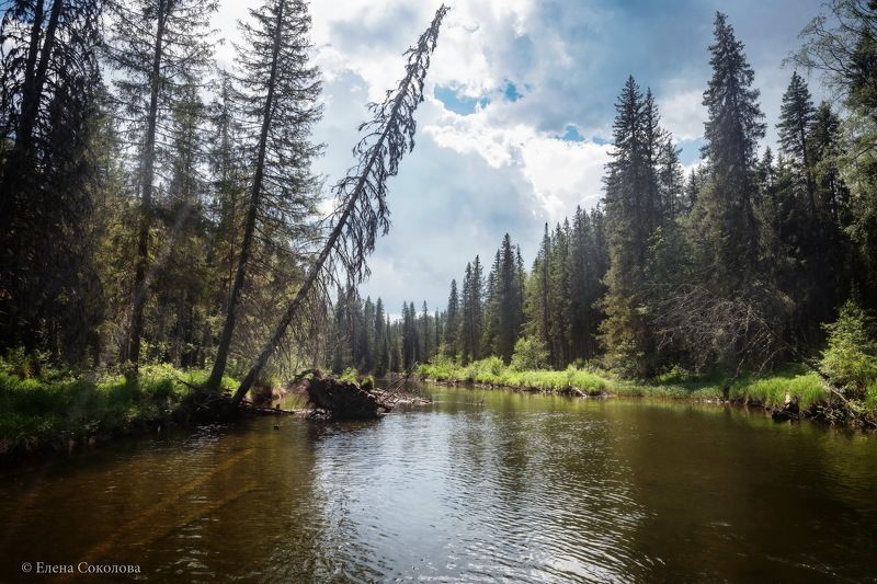 улс, река, пейзаж, лес, лето Таежная речка Улсphoto preview