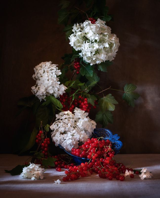 гортензияphoto preview