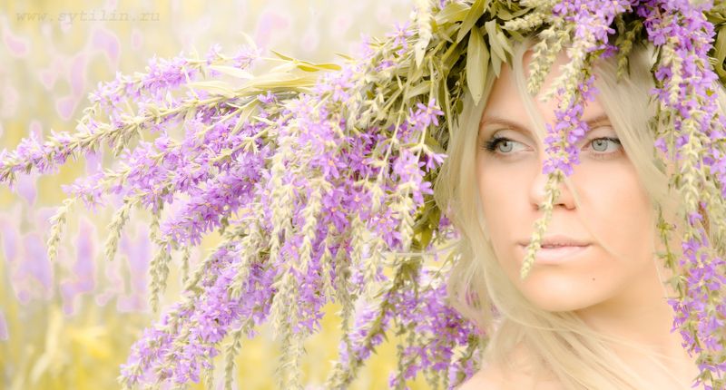 девушка, венок, цветы, лицо, молодой, привлекательный, женщина, романтичный, глаза, взгляд, портрет, открытый воздух, пленэр Девушка по имени Настя.photo preview