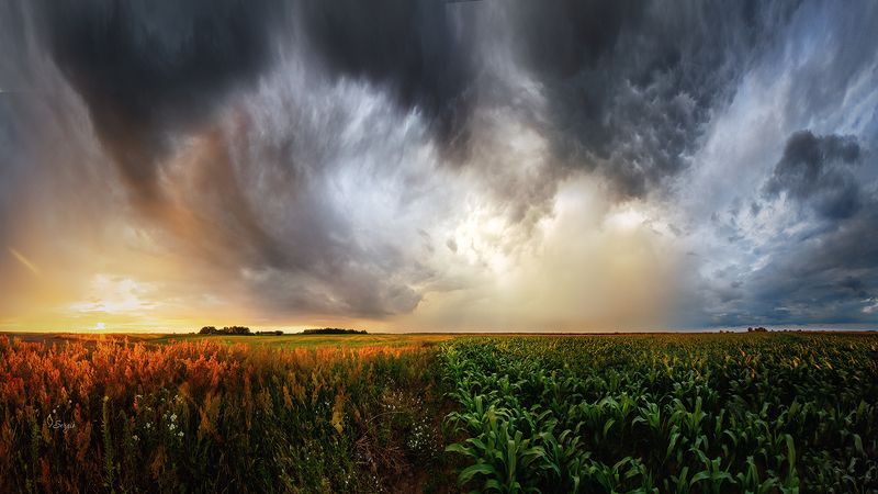 Беларусь Прикатилсяphoto preview