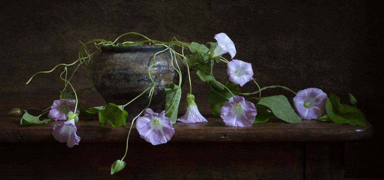 , Марина Кулакова