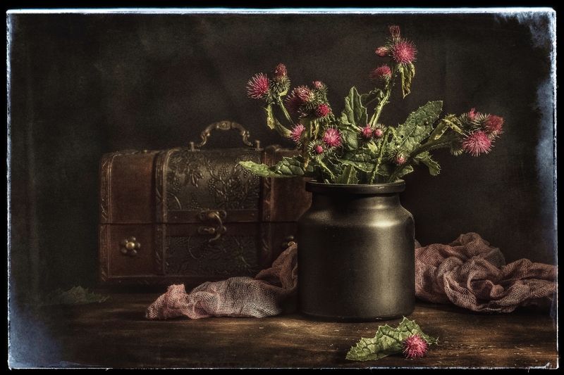 Натюрморт, чертополох, цветы,низкий ключ.  Натюрморт с чертополохом. photo preview