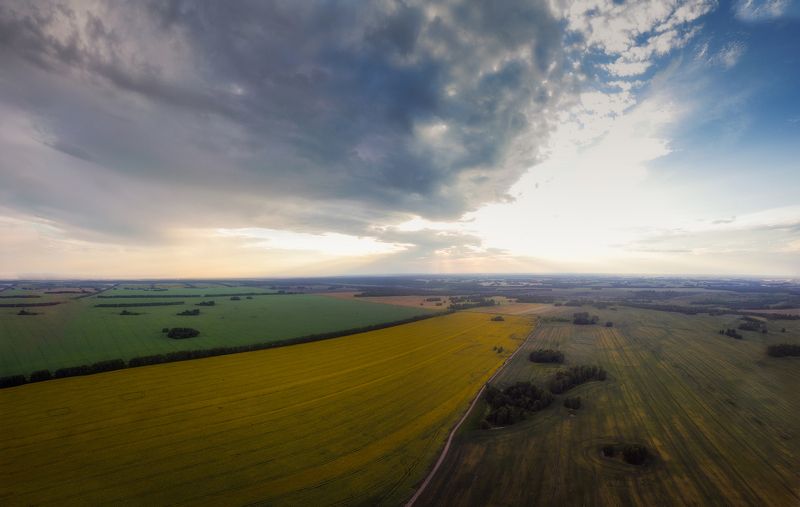 Закат над солнечными цветами!photo preview