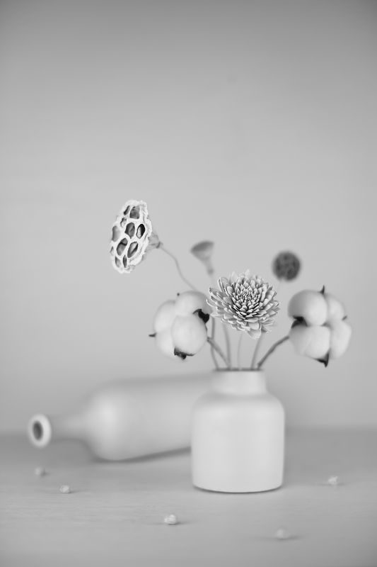 натюрморт, хлопок, лотос, ликвидамбар, сосновая шишка, маргаритка ***photo preview