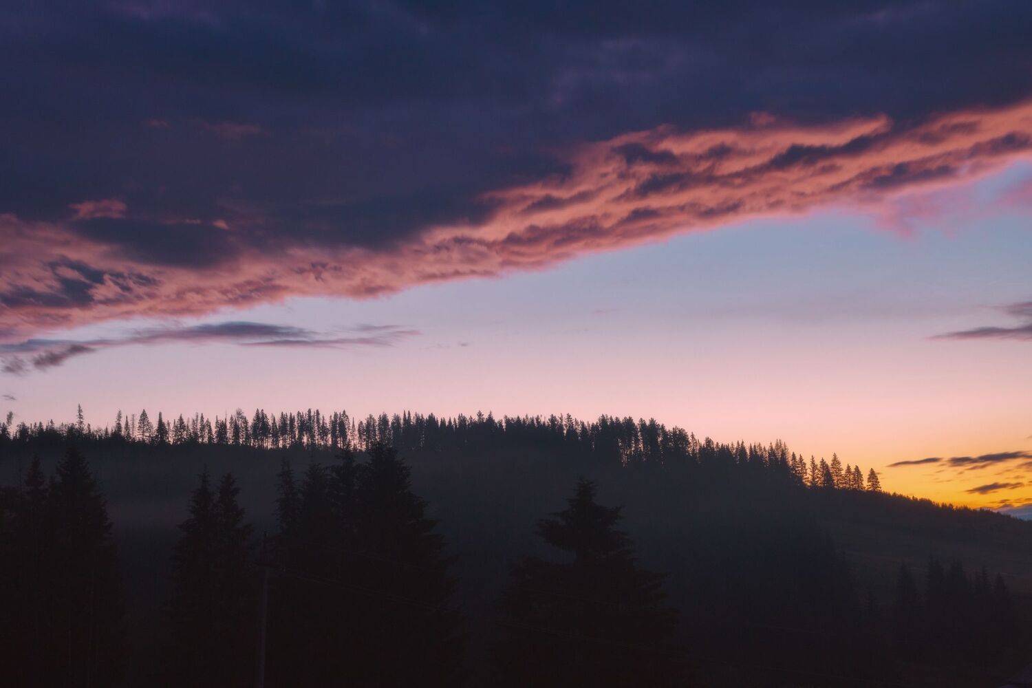 Силуэт леса на гребне холма. Автор: Котов Андрей , Котов Андрей