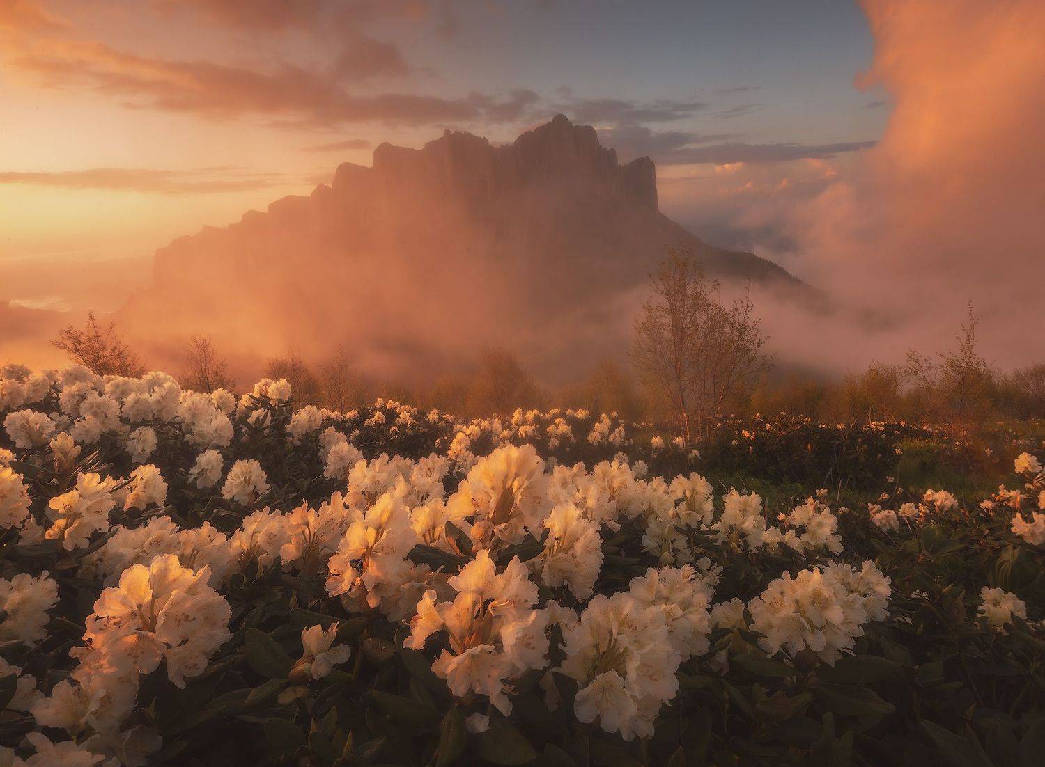 , Лузанов Вячеслав