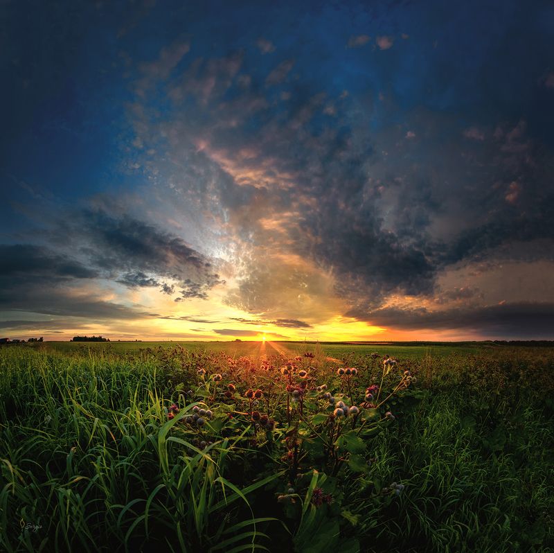 Беларусь Муравушкаphoto preview