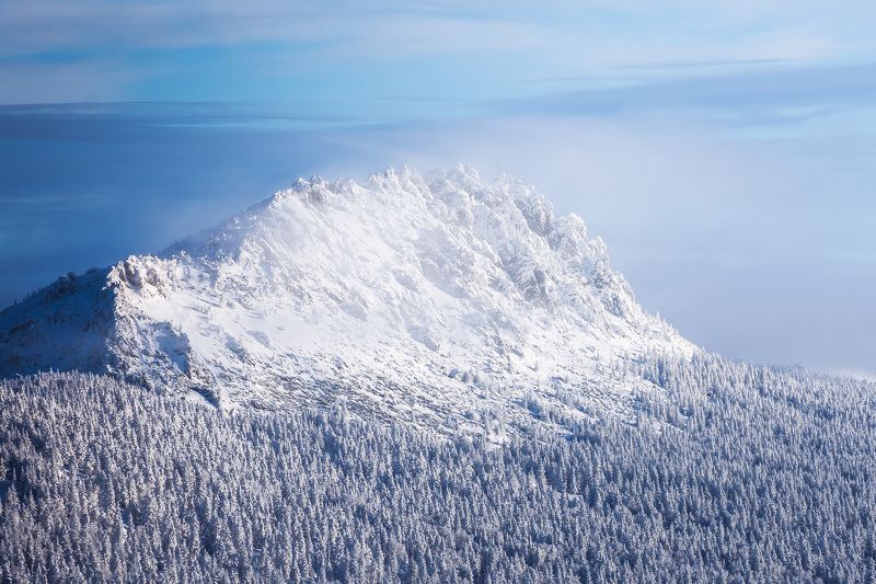 *******photo preview