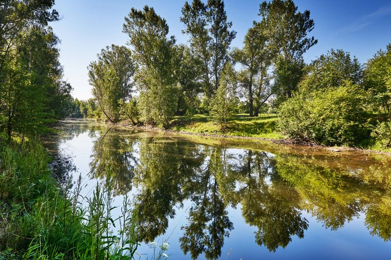 Тихий полденьphoto preview