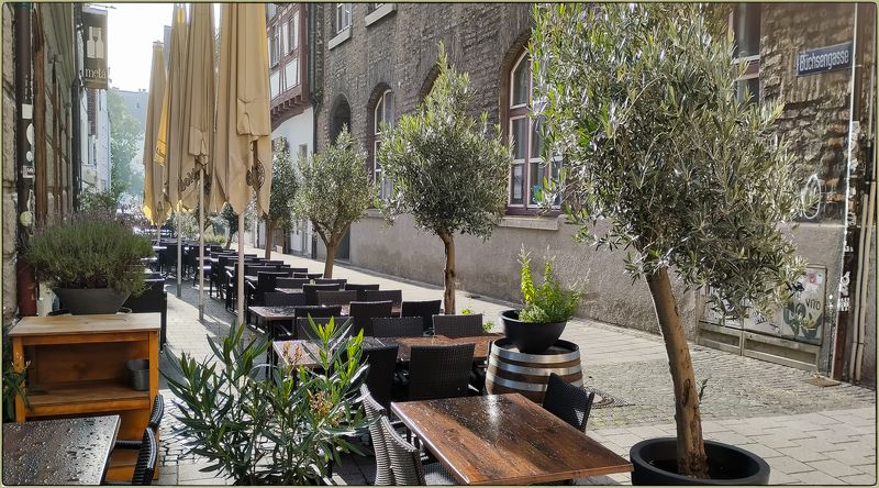 Ночью прошёл дождьphoto preview