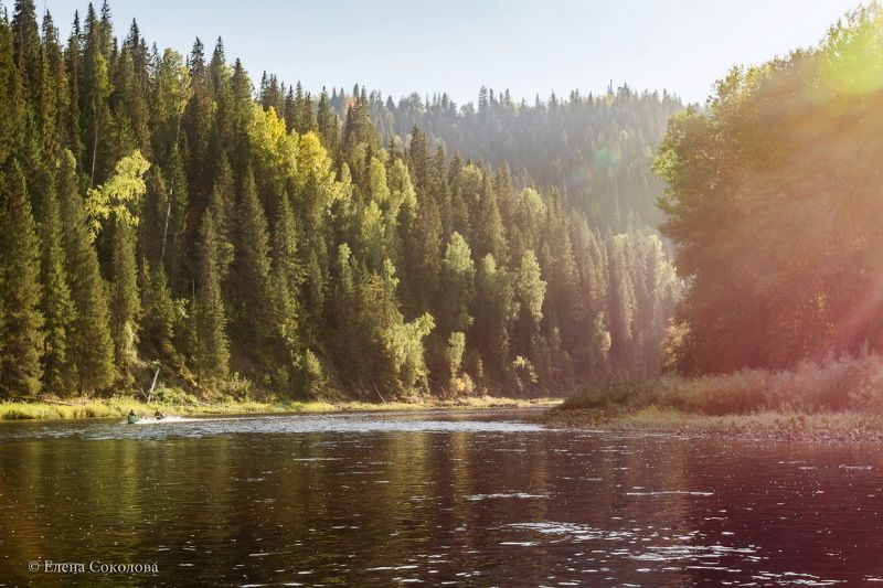 река, лес, тайга, летний пейзаж Вечерний деньphoto preview