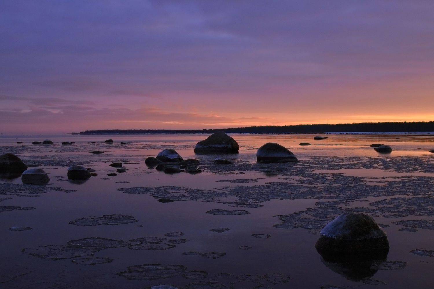 Сиреневое утро. Автор: Герасимова Елена рассвет, Герасимова Елена