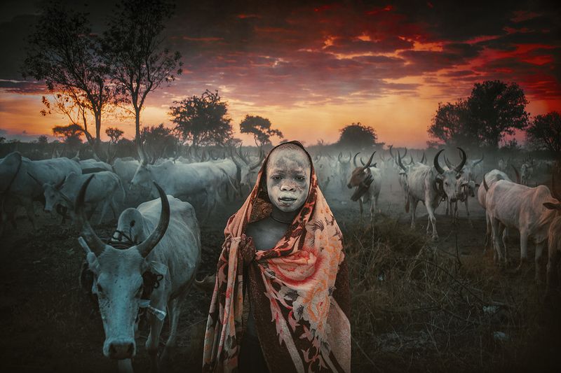 child,people,children,kids,boy,kid,africa,person,people,urban,woman,light,low key,low-key,girl,dark,fog,shadow,mundari,dinka,southsudan,sudan,tribal,tribe,africa,afrika,horns,sunset,sunrise,war,cattle,animal,nature,horn,wild,horned,cow,rural,south_sudan,c 06-53 Morning Mundari, South Sudanphoto preview