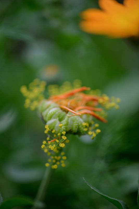 перед дождемphoto preview