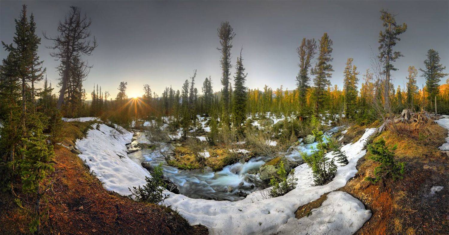 Сибирь тайга река Ергаки лес Малая Буйба Красноярский край, Александр Бархатов
