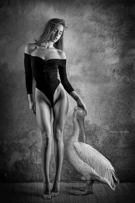 птицы Desire to fly...photo preview