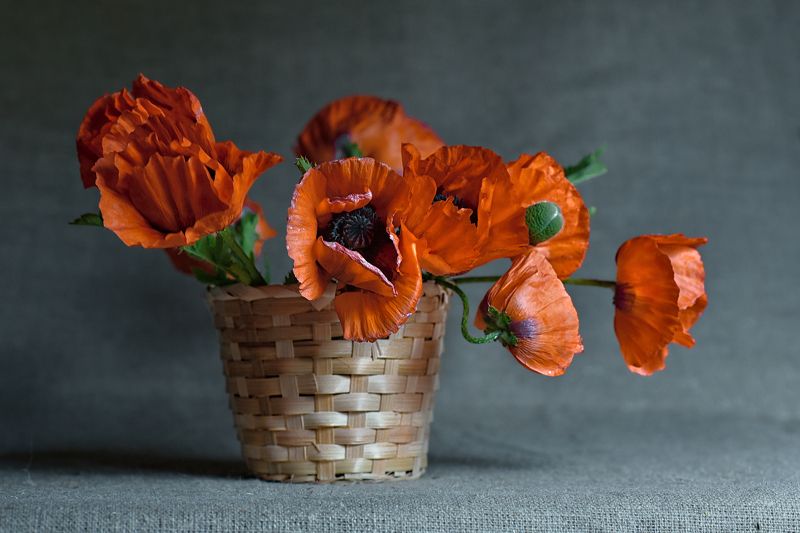 Макиphoto preview