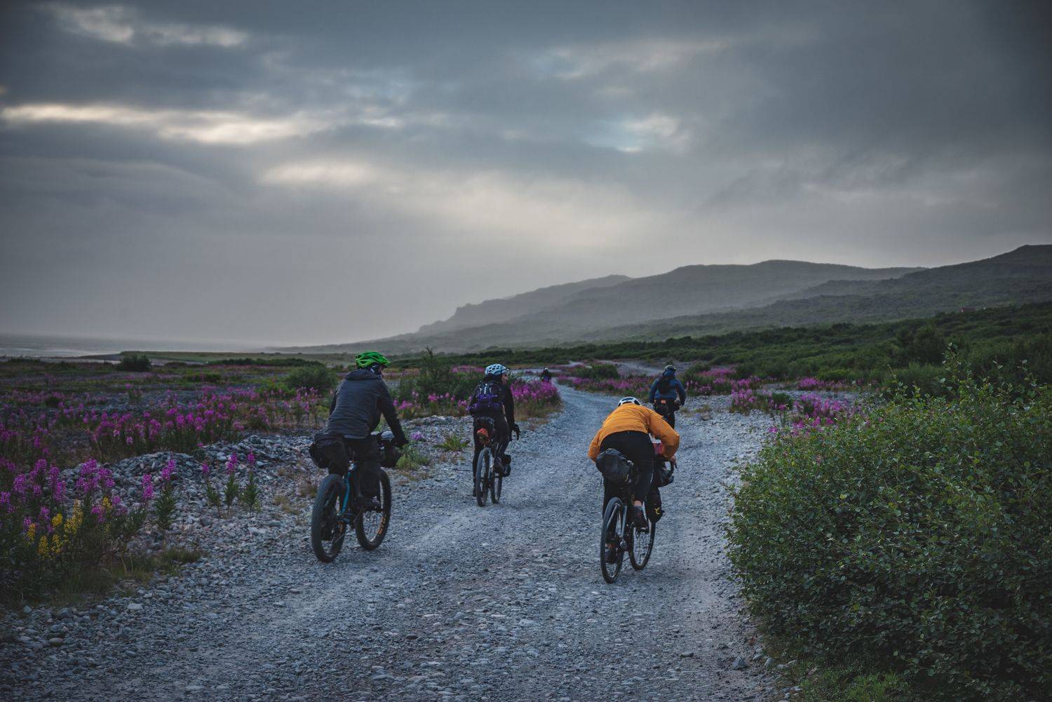 , Дмитрий Жуков