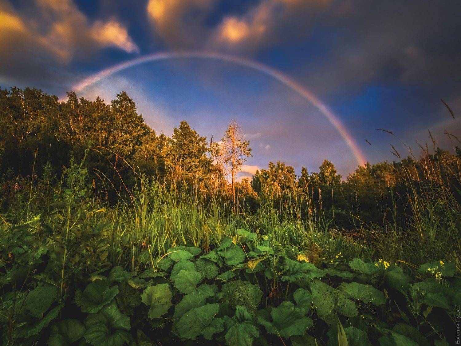 Автор: Evgeny Lutsko , Evgeny Lutsko