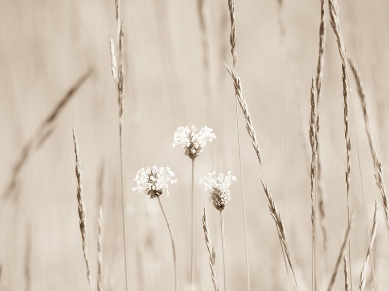 Карандаш и бумагаphoto preview