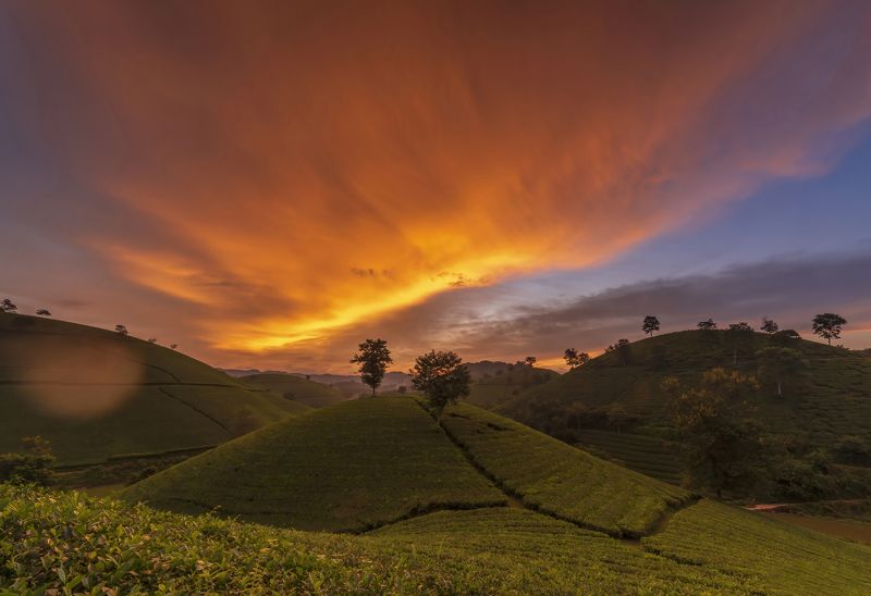 Landscape, Sunset, Moutain, Vietnam, Clouds, Trees Sunset in the midlands фото превью