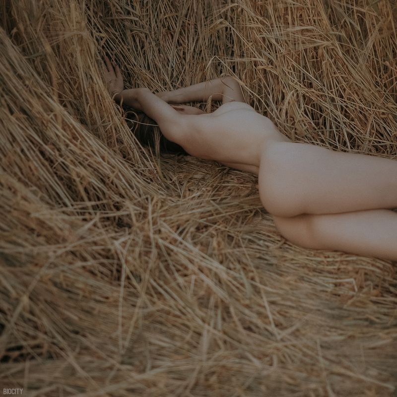 biocity, nude, девушка, поле, ню, girl, serenityphoto preview