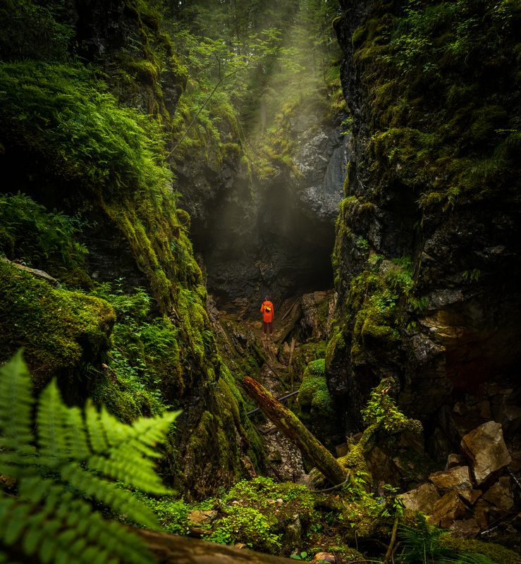 урал, оленьи ручьи, природный парк, трава, зелень, обрыв На дне провалаphoto preview