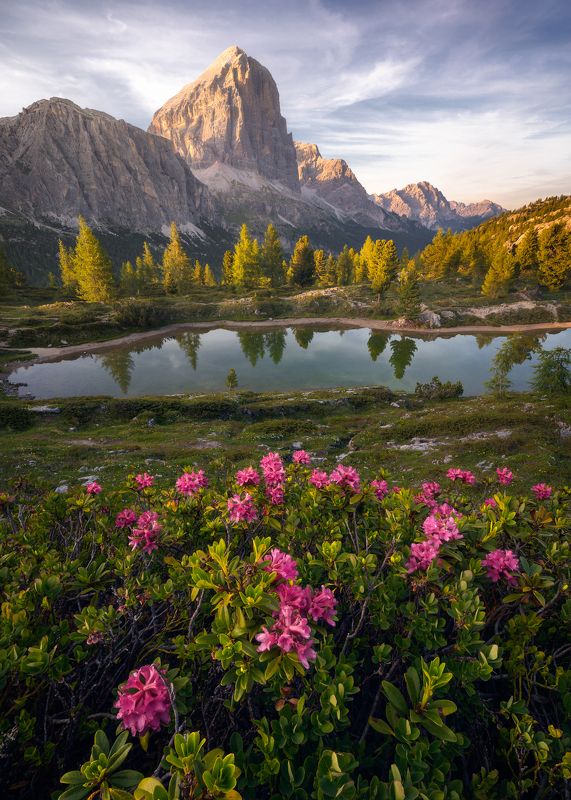 Landscape mountain sunset golden hour spring flowers lake The Gems of Limidesphoto preview