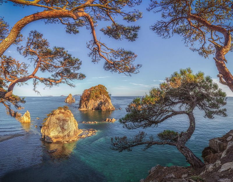 Земля Леопардов Приморский край .Мыс сосновыйphoto preview