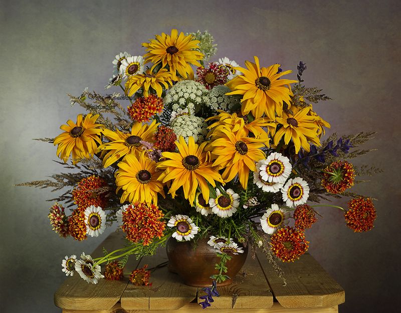 натюрморт, вера павлухина, рудбекия, цветы, Яркий август.photo preview